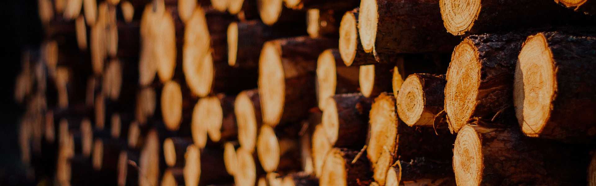 Marcenaria Jandira - Escadas de Madeiras